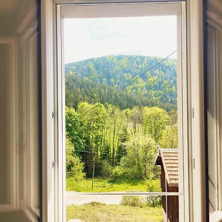 ⁂⁂ LE CHAMOIS Appartement [CLEDICIHOME] / Magnifique vue sur les montagnes / 4 KMs DE GERARDMER ! ⁂⁂ Rochesson Extérieur photo