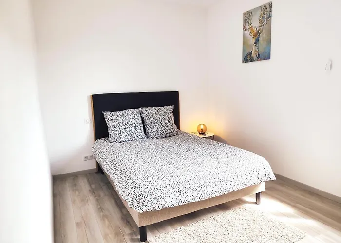 ⁂⁂ LE CHAMOIS Appartement [CLEDICIHOME] / Magnifique vue sur les montagnes / 4 KMs DE GERARDMER ! ⁂⁂